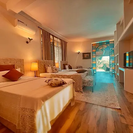 Pink Flamingo Boutique Hotel Моши Экстерьер фото
